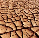 Asciughi la terra incrinata - deserto Asciughi la terra incrinata - deserto