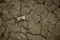 Asciughi la terra incrinata Il deserto Fondo immagine stock Asciughi la terra incrinata Il deserto Fondo immagine stock
