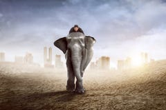 Asian business man riding elephant Stock Photo Asian business man riding elephant Stock Photo