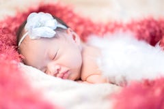 Asian Newborn. Lovely Kid And Little Child Royalty Free Stock Photos Asian Newborn. Lovely Kid And Little Child Royalty Free Stock Photos