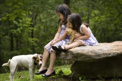 Asian Sisters With Their Pets Royalty Free Stock Images Asian Sisters With Their Pets Royalty Free Stock Images