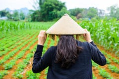 https://thumbs.dreamstime.com/t/asian-woman-wearing-conical-hat-walking-field-asian-woman-wearing-conical-bamboo-hat-walking-field-108359535.jpg