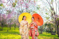Asiatisk härlig kvinna som bär den traditionella japanska kimonot och den körsbärsröda blomningen i våren, Japan royaltyfri fotografi Asiatisk härlig kvinna som bär den traditionella japanska kimonot och den körsbärsröda blomningen i våren, Japan royaltyfri fotografi