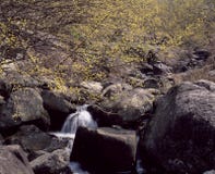 askfat arkivfoto askfat arkivfoto