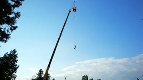 Asomando con la cuerda de la alta torre, hombre que despide en la secuencia, saltando con seguro de la altura almacen de metraje de vídeo Asomando con la cuerda de la alta torre, hombre que despide en la secuencia, saltando con seguro de la altura almacen de metraje de vídeo