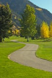 Aspen Golf Course With Pines Stock Photography