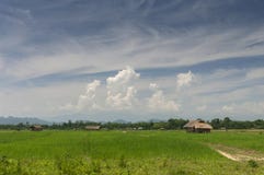 Assamese Haus nahe dem Brahmaputra, Assam, Indien stockbilder Assamese Haus nahe dem Brahmaputra, Assam, Indien stockbilder