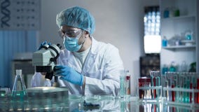 Assistente di laboratorio che studia i campioni per individuare le patologie, ricerca medica di qualità Fotografia Stock Assistente di laboratorio che studia i campioni per individuare le patologie, ricerca medica di qualità Fotografia Stock
