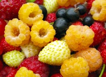 Assorted Fresh Berries Royalty Free Stock Images Assorted Fresh Berries Royalty Free Stock Images