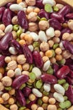 Assortiment de différents types de haricots - haricots rouges, pois chiches, p photos stock Assortiment de différents types de haricots - haricots rouges, pois chiches, p photos stock