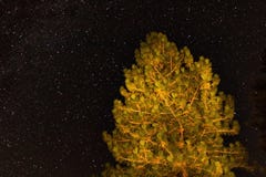 Astrofotografii galaxy gwiazdy tło dla astronomii, przestrzeni lub kosmosu, nocne niebo wszechświat, międzygwiazdowa nauki fikci fotografia stock Astrofotografii galaxy gwiazdy tło dla astronomii, przestrzeni lub kosmosu, nocne niebo wszechświat, międzygwiazdowa nauki fikci fotografia stock