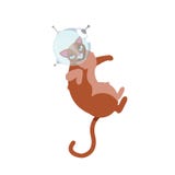 Astronautas divertidos de los gatos en el espacio aislado en el fondo blanco, ejemplo del vector Gato como cosmonauta, traje de e libre illustration Astronautas divertidos de los gatos en el espacio aislado en el fondo blanco, ejemplo del vector Gato como cosmonauta, traje de e libre illustration