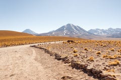 Atacama öken arkivbild Atacama öken arkivbild