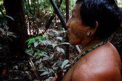 Tribal elder Binan Tukum hunting with his son for monkeys in the rainforest stock photography Tribal elder Binan Tukum hunting with his son for monkeys in the rainforest stock photography