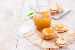 Atasco jugoso fresco con los higos en un tarro con las galletas y el requesón para el desayuno Imagen de archivo Atasco jugoso fresco con los higos en un tarro con las galletas y el requesón para el desayuno Imagen de archivo