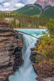 Athabasca Spada w Jaspisowym parku narodowym alberta Kanada zdjęcia royalty free Athabasca Spada w Jaspisowym parku narodowym alberta Kanada zdjęcia royalty free