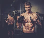Athletic man doing exercises with dumbbells in the gym's studio stock photos Athletic man doing exercises with dumbbells in the gym's studio stock photos