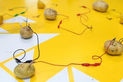 Attività del GAMBO della batteria della patata con le patate, limoni, Cl dell'alligatore fotografia stock Attività del GAMBO della batteria della patata con le patate, limoni, Cl dell'alligatore fotografia stock