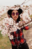Attractive brunette girl near a almond tree with many flowers royalty free stock photo Attractive brunette girl near a almond tree with many flowers royalty free stock photo