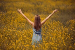Attractive woman in dress at flower field. stock photography Attractive woman in dress at flower field. stock photography