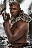 Attraktiver schwarzer Mann mit Boa- constrictorschlange stockbilder Attraktiver schwarzer Mann mit Boa- constrictorschlange stockbilder