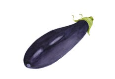 Aubergine tirée par la main, aquarelle illustration pour la conception de nourriture illustration stock Aubergine tirée par la main, aquarelle illustration pour la conception de nourriture illustration stock