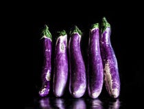 AUBERGINES POURPRES JAPONAISES photos libres de droits AUBERGINES POURPRES JAPONAISES photos libres de droits