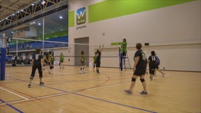 Auckland Nowa Zelandia 21 04 2017 strzał żeńscy siatkówka gracze zbiera w światu mistrza grą 2017 przy Wa nad 35 lat zbiory Auckland Nowa Zelandia 21 04 2017 strzał żeńscy siatkówka gracze zbiera w światu mistrza grą 2017 przy Wa nad 35 lat zbiory