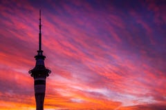 Résultat de recherche d'images pour "sunset in the auckland sky tower"