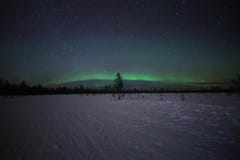 Aurora boreal espetacular em Lapland finlandês fotografia de stock royalty free Aurora boreal espetacular em Lapland finlandês fotografia de stock royalty free
