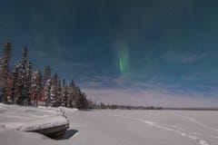 Aurora boreal hermosa sobre bosque y tre nevado fotografía de archivo Aurora boreal hermosa sobre bosque y tre nevado fotografía de archivo