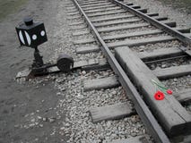 Free Auschwitz Stock Image - 1041521