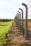 Auschwitz Birkenau arkivbilder Auschwitz Birkenau arkivbilder