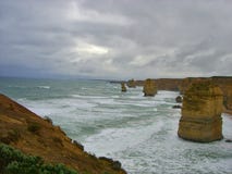 australia dziki zdjęcia stock australia dziki zdjęcia stock