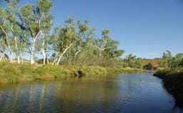 Australian river view royalty free stock photos Australian river view royalty free stock photos