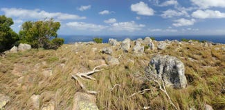 australiensisk liggande Ödlaö, den stora barriärrevet, Queensland, Australien royaltyfri fotografi australiensisk liggande Ödlaö, den stora barriärrevet, Queensland, Australien royaltyfri fotografi