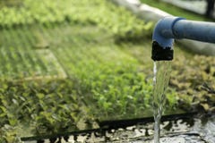 Automatización hidropónica para el huerto verde vegetal del roble, tecnología elegante moderna orgánica del agua y del fertilizan fotografía de archivo Automatización hidropónica para el huerto verde vegetal del roble, tecnología elegante moderna orgánica del agua y del fertilizan fotografía de archivo