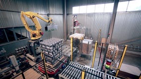 Automatyzujący Mechaniczny ręki ładowanie, kocowanie produkty Nowożytny przemysłowy wyposażenie zdjęcie wideo Automatyzujący Mechaniczny ręki ładowanie, kocowanie produkty Nowożytny przemysłowy wyposażenie zdjęcie wideo