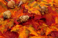 Automne Automne
