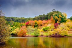 Automne australien coloré dans le bâti élevé Images libres de droits Automne australien coloré dans le bâti élevé Images libres de droits