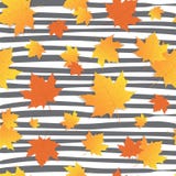 Automne d'Autumn Background Yellow Maple Leaves illustration de vecteur Automne d'Autumn Background Yellow Maple Leaves illustration de vecteur