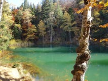 Automne dans le lac de couleur de la Pologne photos libres de droits Automne dans le lac de couleur de la Pologne photos libres de droits