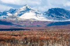 Automne dans le Patagonia Cordillère Darwin, Tierra del Fuego photos libres de droits Automne dans le Patagonia Cordillère Darwin, Tierra del Fuego photos libres de droits