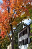 Automne de Georgetown images libres de droits Automne de Georgetown images libres de droits