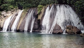 Automnes de portée, Jamaïque Automnes de portée, Jamaïque