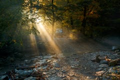 Automobile alla luce solare, facente il suo modo attraverso la nebbia nei precedenti di una foresta della montagna e di un fiume Fotografia Stock Automobile alla luce solare, facente il suo modo attraverso la nebbia nei precedenti di una foresta della montagna e di un fiume Fotografia Stock