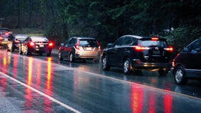 Autos, die Forest In The Rain führen Autos, die Forest In The Rain führen