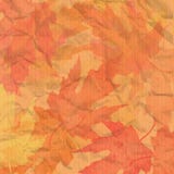 Autumn Background Stock Image
