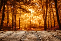 Autumn background, wooden table over the defocused forest stock photography Autumn background, wooden table over the defocused forest stock photography