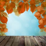 Autumn Background com céu azul, queda Linden Leaves imagem de stock Autumn Background com céu azul, queda Linden Leaves imagem de stock